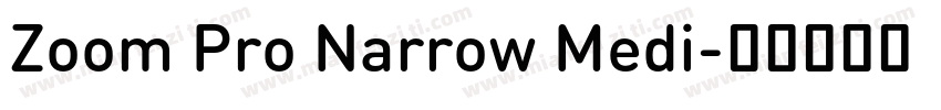 Zoom Pro Narrow Medi字体转换